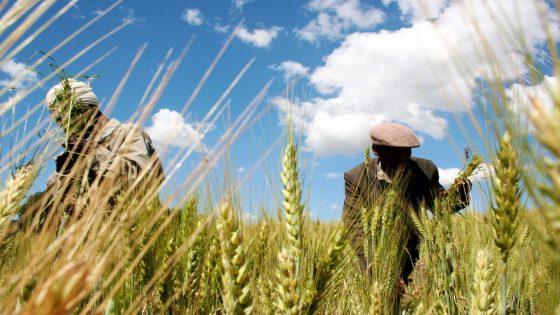 6 دول في الجنوب الأفريقي تخرج من قائمة بؤر الجوع العالمية – الخليجي نت
