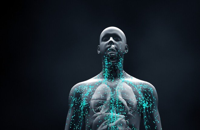 اختراق علمي بعد 30 عامًا.. علماء يكتشفون جينًا سريًا يتحكم في مركب غذائي يقي من السرطان والزهايمر		 – الخليجي نت