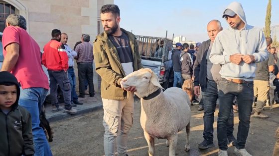 بالفيديو.. جولة في سوق الأضاحي بالضفة الغربية – الخليجي نت