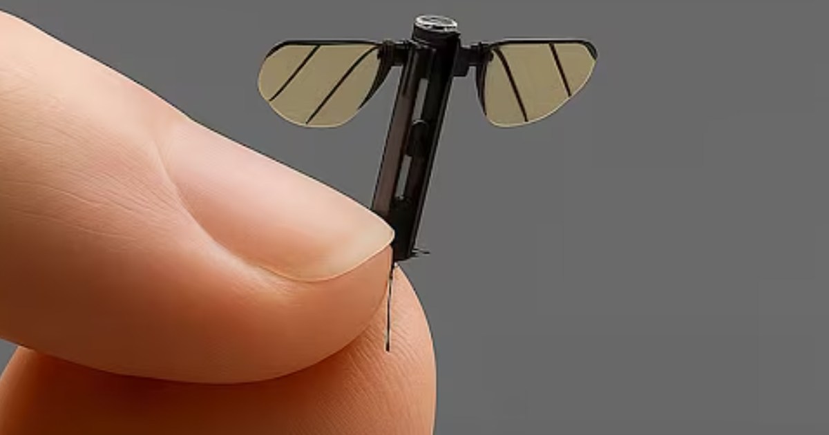 شاهد أحدث الابتكارات الصينية.. مسيّرة تجسس بحجم بعوضة		 – الخليجي نت