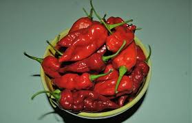 قنبلة بالمعدة.. تحذير طبي من الفلفل الحار		 – الخليجي نت