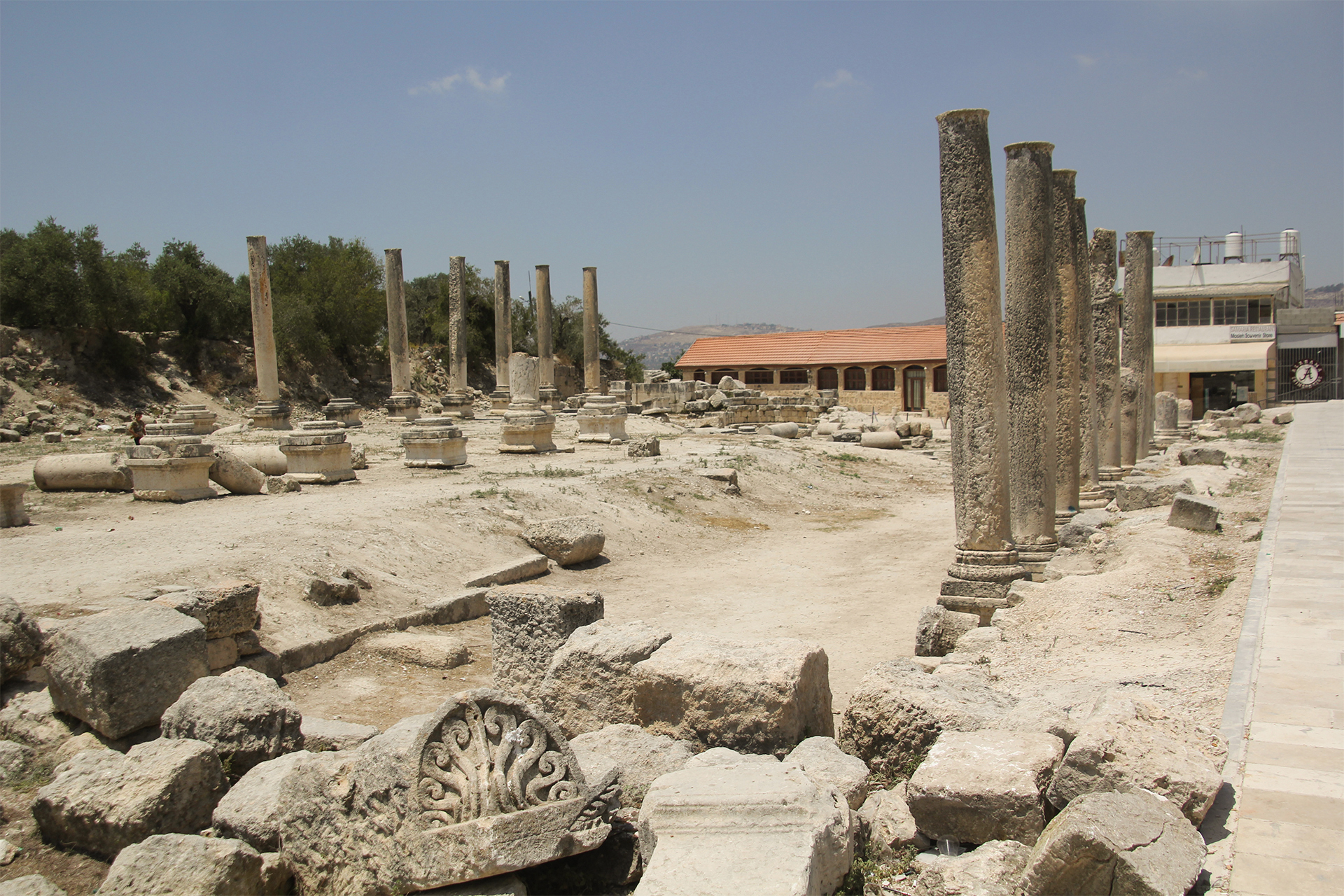 مخطط متنزه إسرائيلي يطرد سكان سبسطية من قريتهم التاريخية		 – الخليجي نت