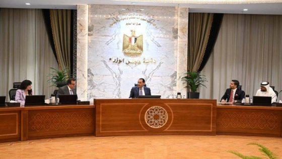 مصر تبحث مع “برجيل القابضة” الإماراتية التعاون في إدارة وحدة زرع النخاع بمستشفى الشيخ زايد – الخليجي نت