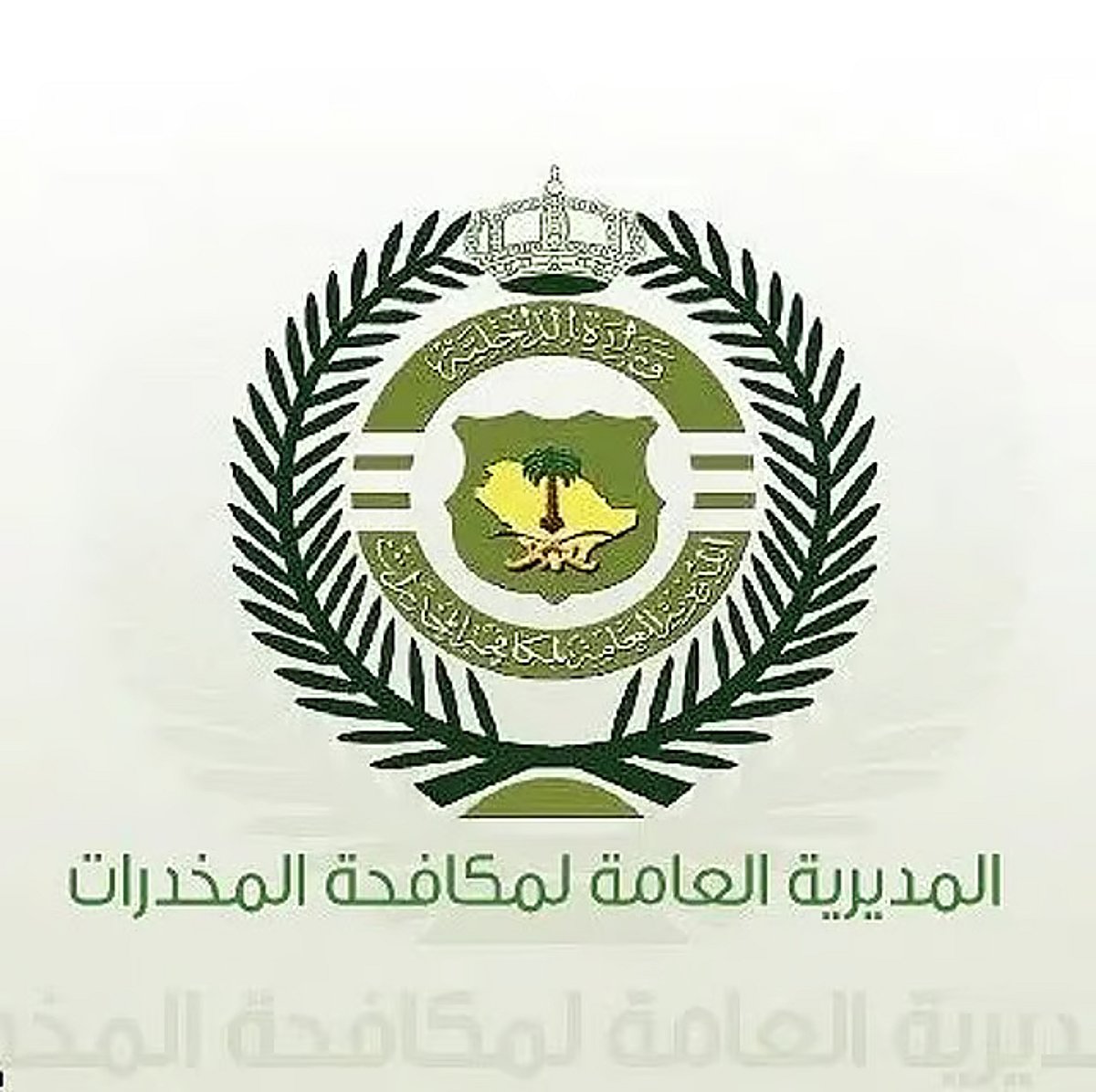 «مكافحة المخدرات» تقبض على شخصين بمنطقة الجوف لترويجهما مواد مخدرة		 – الخليجي نت