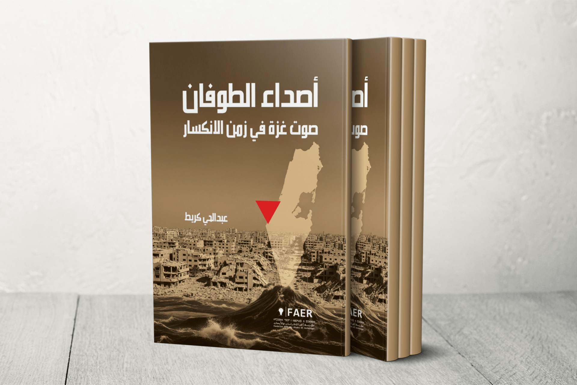 “أصداء الطوفان”.. حين تصير الكلمة بندقية		 – الخليجي نت