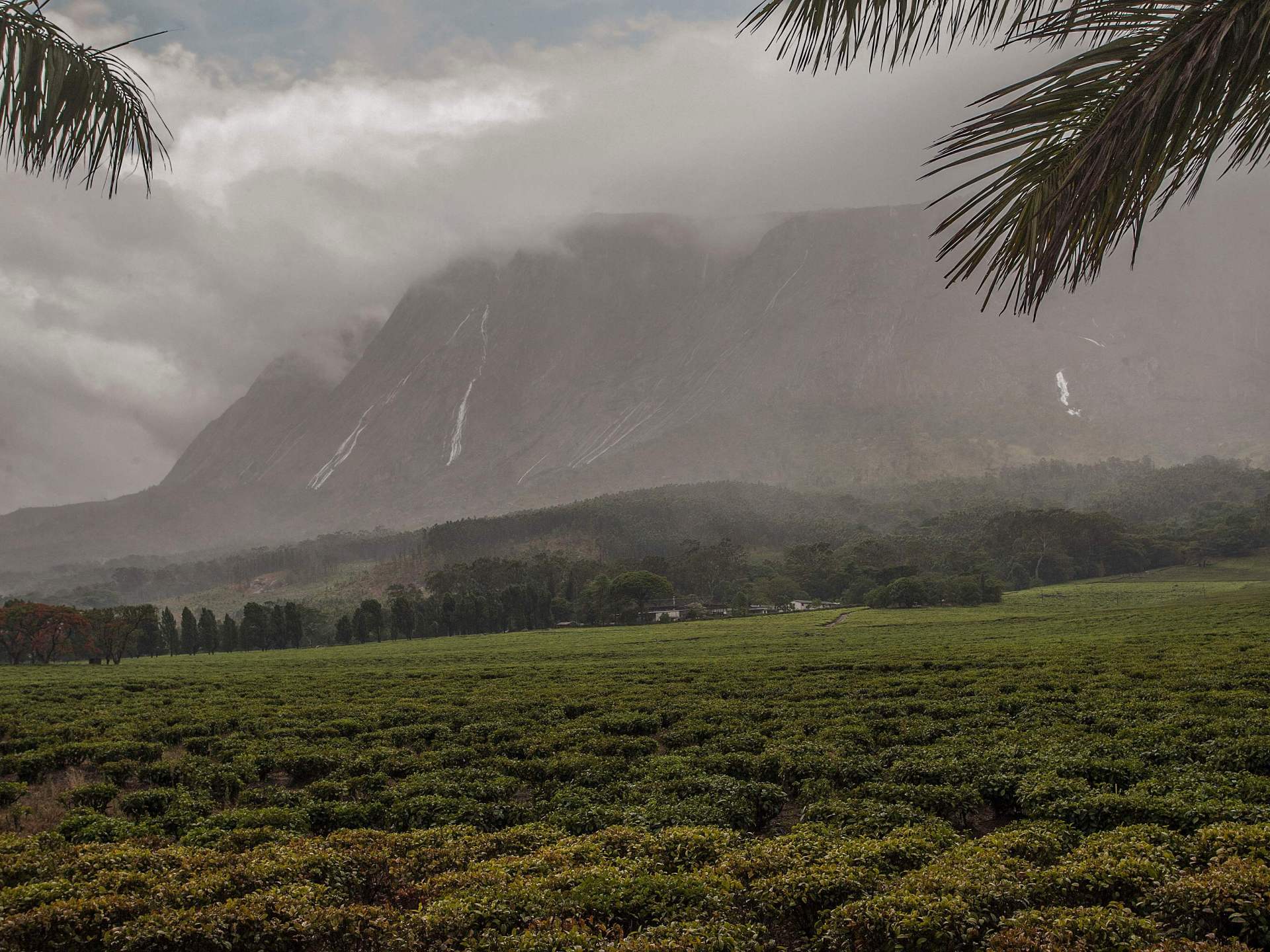 أفريقيا تُعزّز حضورها في قائمة التراث العالمي بموقعين جديدين		 – الخليجي نت