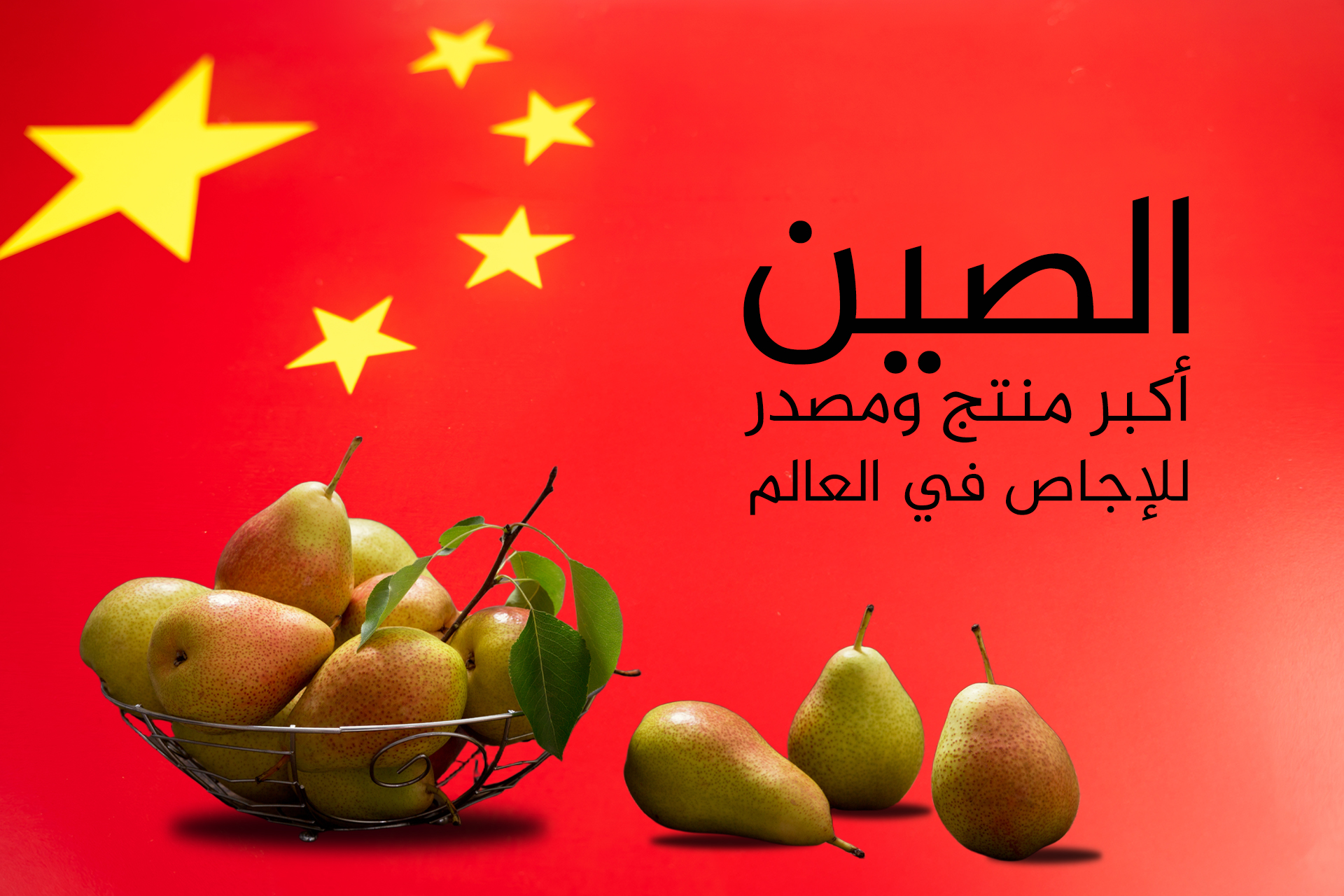 أكبر 10 دول منتجة ومصدرة للإجاص في العالم.. الجزائر الأولى عربيا		 – الخليجي نت