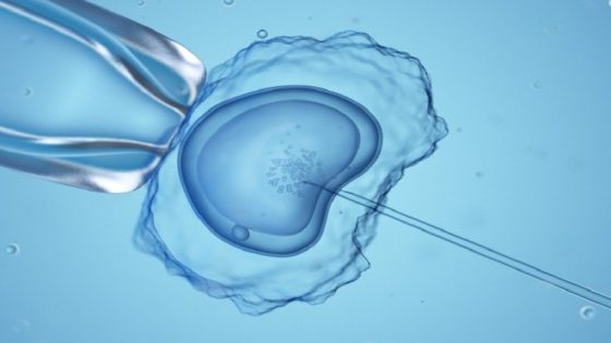 إنجاز طبي غير مسبوق في بريطانيا.. ولادة 8 أطفال يحملون حمضًا نوويًا من ثلاثة آباء – الخليجي نت