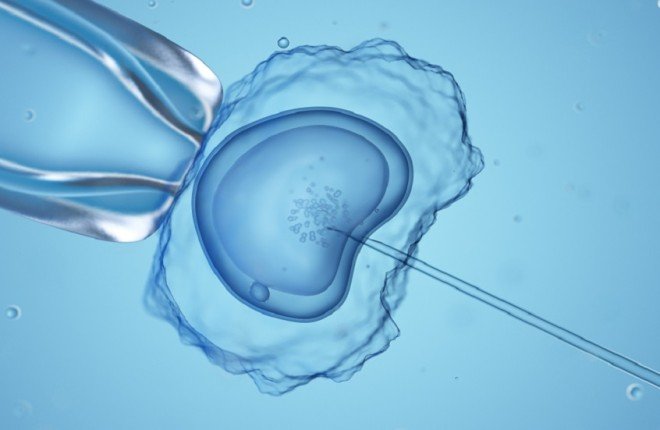 إنجاز طبي غير مسبوق في بريطانيا.. ولادة 8 أطفال يحملون حمضًا نوويًا من ثلاثة آباء		 – الخليجي نت