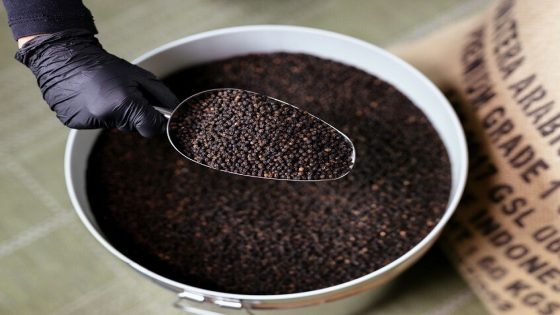 الفلفل الأسود بين الفوائد الغذائية والمحاذير الدوائية – الخليجي نت