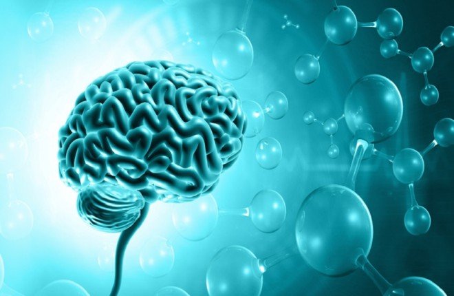 دراسة جديدة تحذر: مواد كيميائية “أبدية” قد تؤثر سلباً على نمو أدمغة الذكور		 – الخليجي نت