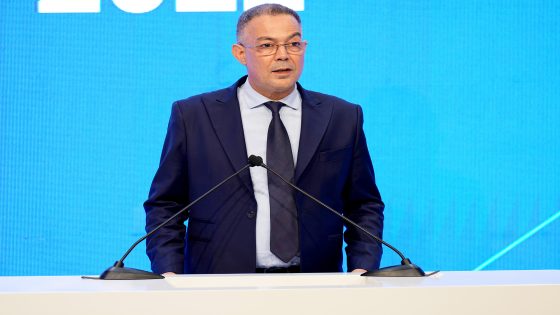 شاهد.. رئيس الاتحاد المغربي يوبخ حكمة نهائي كأس أفريقيا للسيدات – الخليجي نت