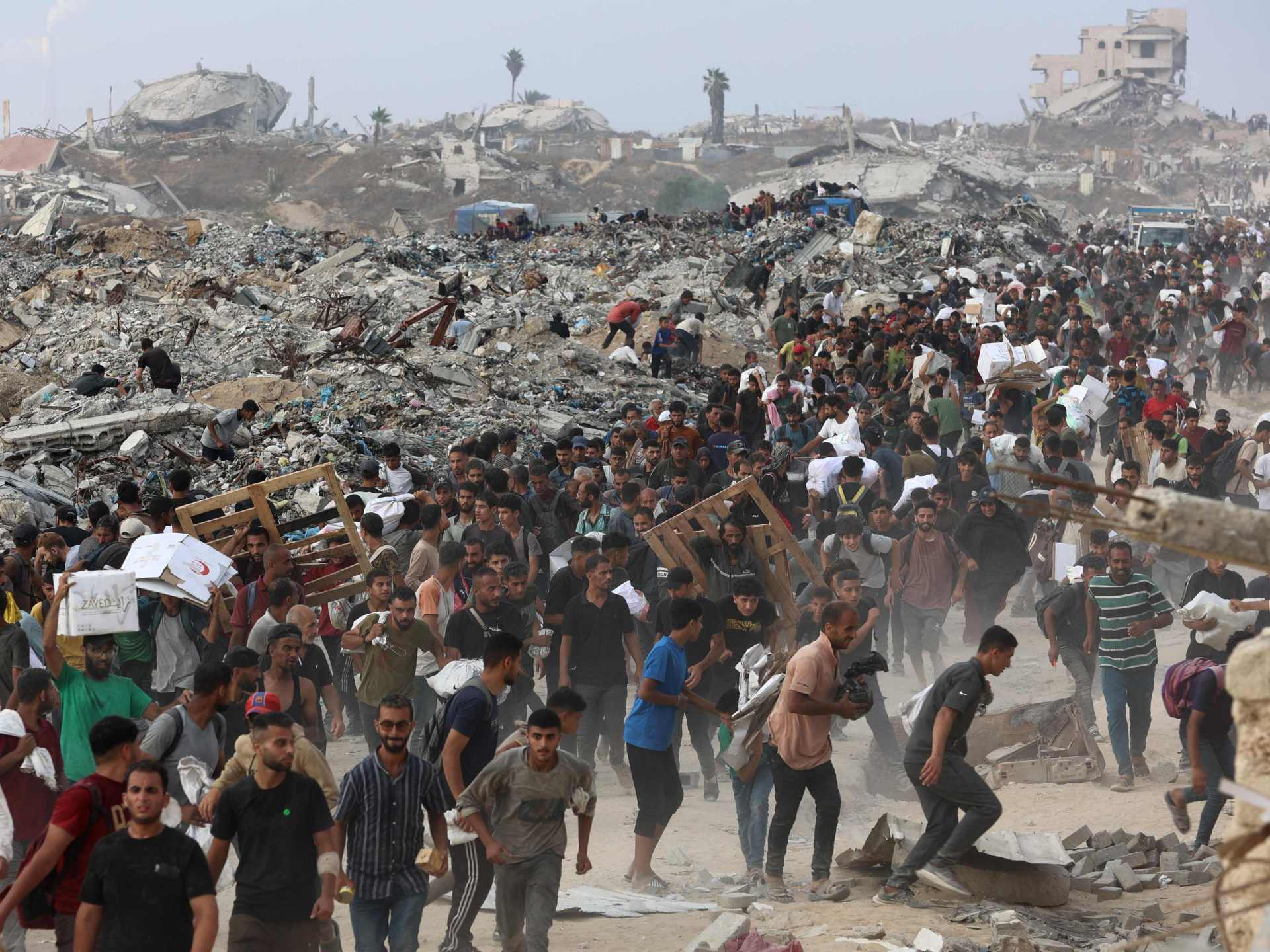 فاو: الحرب الإسرائيلية قضت على الزراعة في غزة		 – الخليجي نت