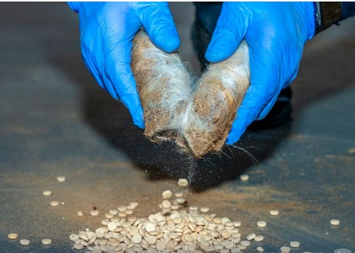 إحباط تهريب أكثر من 400 ألف حبة من الإمفيتامين المخدر في منفذ الحديثة		 – الخليجي نت