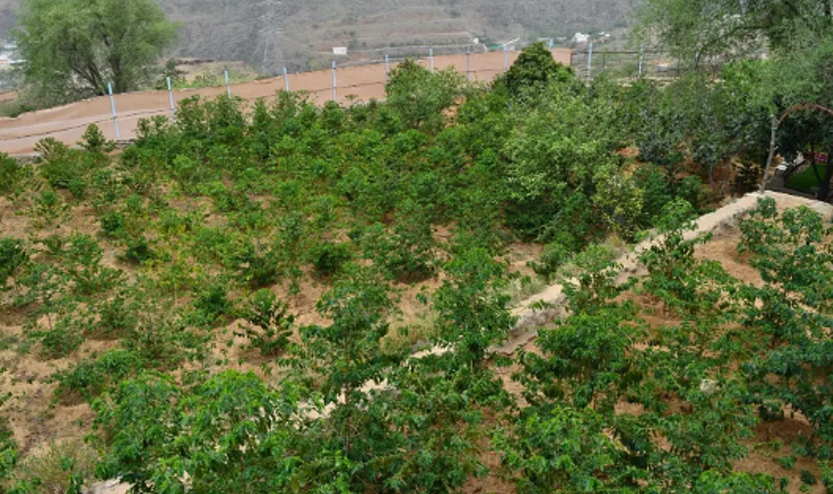 إطلاق مبادرة لتعزيز التنمية الزراعية والسياحة البيئية في عسير		 – الخليجي نت