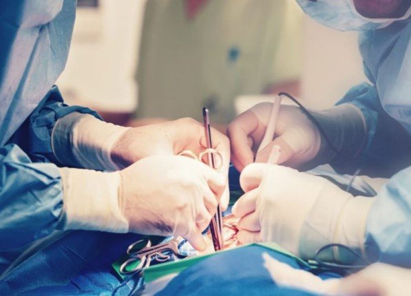 ابتكار رقعة قلبية مطبوعة ثلاثيا لإصلاح أنسجة القلب التالفة		 – الخليجي نت