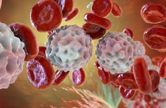 اختراق طبي واعد في علاج أحد أخطر أنواع سرطان الدم		 – الخليجي نت