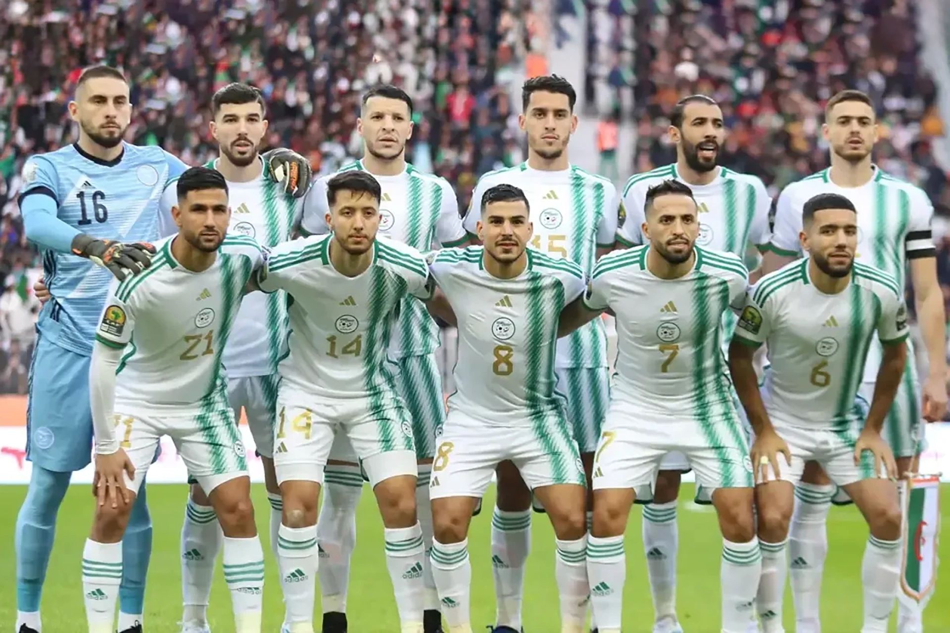 الجزائر تسعى إلى معادلة أفضل مستوياتها في كأس أمم أفريقيا للمحليين		 – الخليجي نت