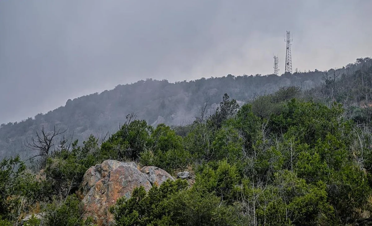 الضباب يلف سفوح جبال الباحة في مشهد بديع يجذب الزوار والمصطافين		 – الخليجي نت