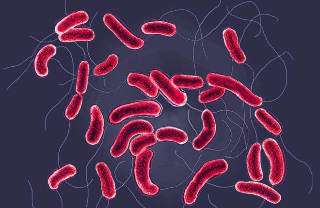 تحذيرات من تفاقم وباء الكوليرا في السودان.. ونداءات عاجلة لتدخل دولي		 – الخليجي نت