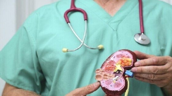 تعرف على أبرز أسباب تكوّن حصى المسالك البولية – الخليجي نت