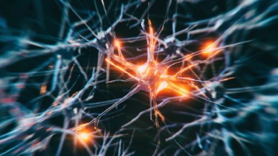 إضافة غذائية تقود طفرة في أبحاث الدماغ وأمل جديد لعلاج الأمراض العصبية – الخليجي نت