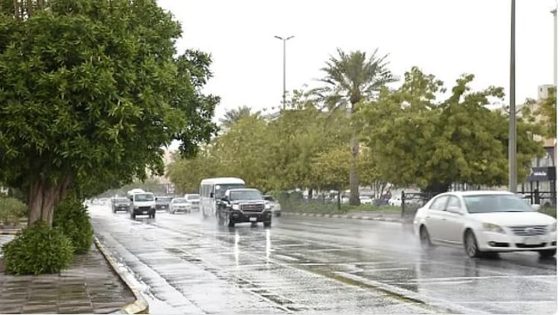 الأرصاد: أمطار متوسطة وسيول في جازان – الخليجي نت