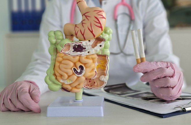 دراسة تحذر: التدخين يسرّع نمو سرطان البنكرياس عبر تعطيل جهاز المناعة		 – الخليجي نت