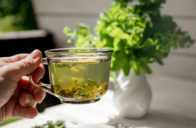 دراسة حديثة: النظام الغذائي “الأخضر” يبطئ شيخوخة الدماغ		 – الخليجي نت