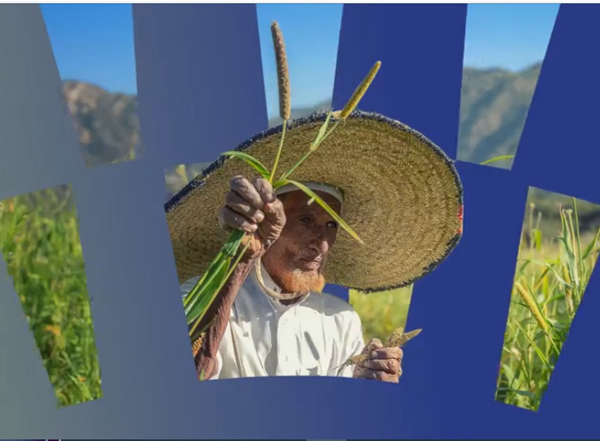 صندوق البيئة يطلق «رؤى بيئية» لتسليط الضوء على أحدث تطورات القطاع في المملكة		 – الخليجي نت