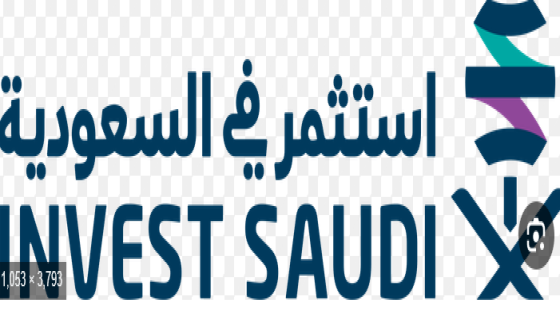 “فزعة” المستثمر الأجنبي: دليلك الشامل لفتح سجل تجاري في السعودية – الخليجي نت