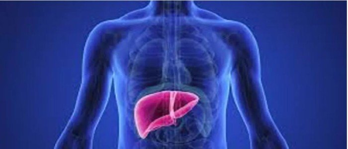 طبيب مصري يوضح أسباب الوفاة المفاجئة لدى مرضى الكبد		 – الخليجي نت