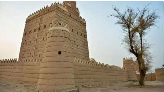 مختصة: استخدام الذكاء الاصطناعي في مشروع «تراث- تيك» لمراقبة المباني التراثية وحمايتها – الخليجي نت