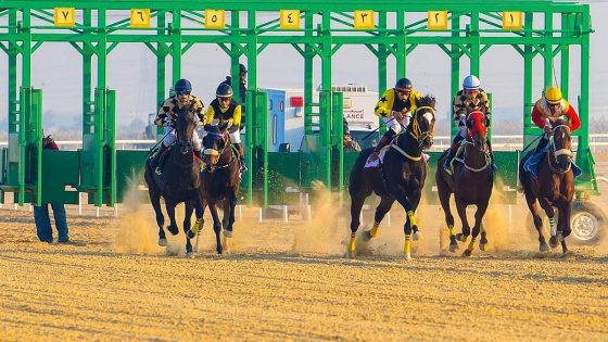 ميدان سباقات الخيل بنجران يٌنظّم اليوم حفل سباقه الثاني للموسم الحالي – الخليجي نت