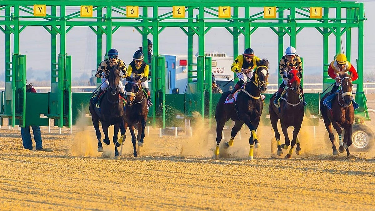 ميدان سباقات الخيل بنجران يٌنظّم اليوم حفل سباقه الثاني للموسم الحالي		 – الخليجي نت
