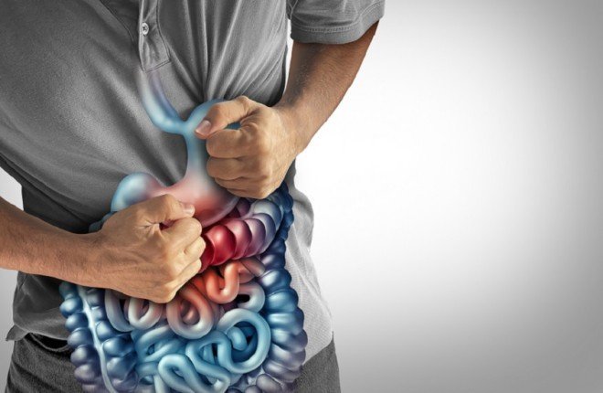 أطعمة تعيد توازن ميكروبيوم الأمعاء وتدعم المناعة والصحة الذهنية – الخليجي نت