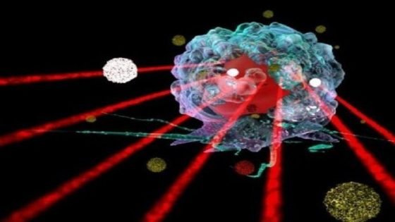 الموجات فوق الصوتية عبر الجمجمة قد تعدّل السلوك والمزاج وتفتح آفاقاً لعلاجات جديدة – الخليجي نت