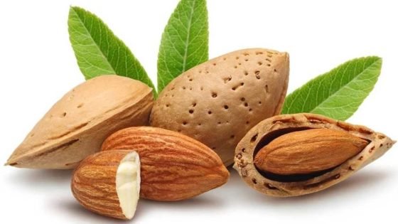 حماية من الخرف.. ما فوائد تناول “اللوز”؟ – الخليجي نت