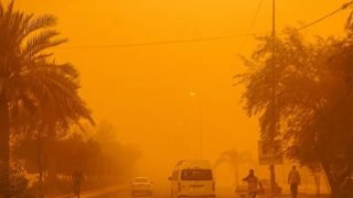 هاني الناظر يعود مجددا.. دليل الوقاية من العواصف الترابية لمرضى الحساسية
– الخليجي نت