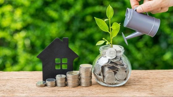 العائد السنوي للاستثمار: كيف تقيس ربحية أموالك؟ – الخليجي نت