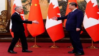 استطلاع رأي: الكنديون أكثر قبولا للسيارات الكهربائية الصينية		 – الخليجي نت