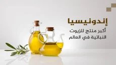 أكبر منتجي الزيوت النباتية بالعالم.. دول إسلامية في الصدارة – الخليجي نت