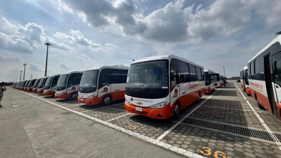 المنصور للسيارات تُصدر 100 حافلة إلى غانا من ميناء شرق بورسعيد – الخليجي نت