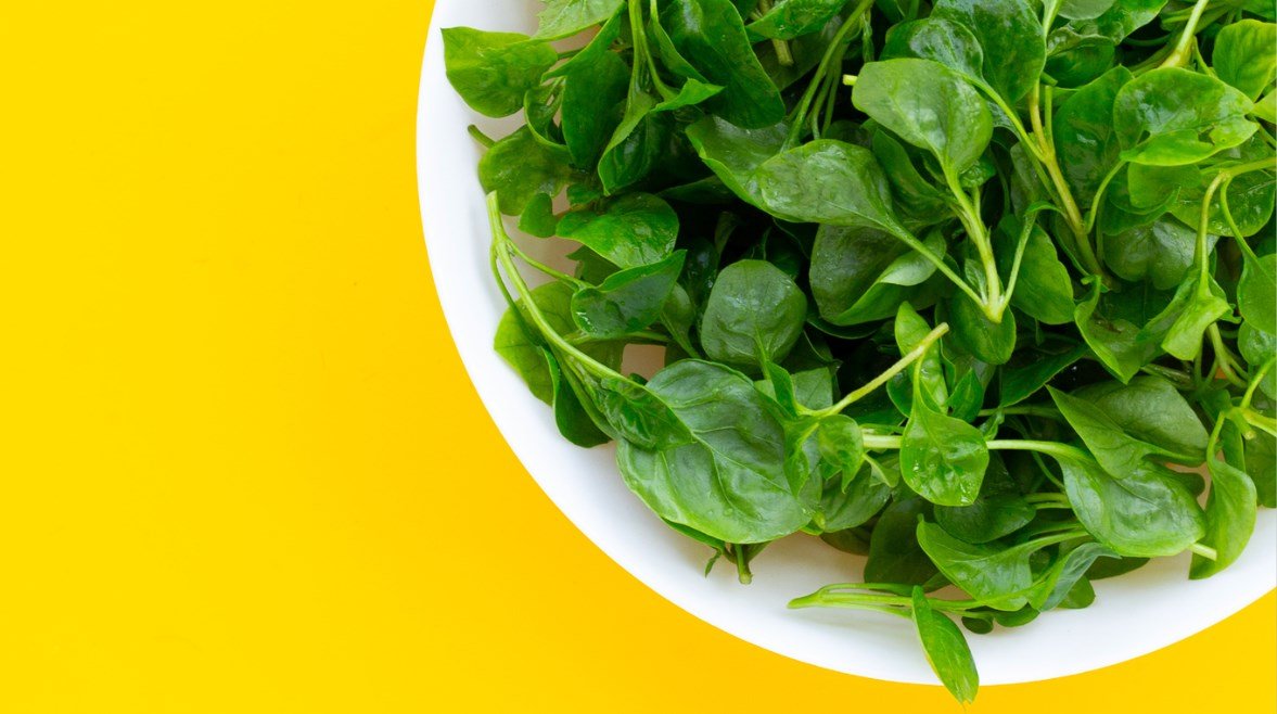 الجرجير يحصد لقب “أكثر الخضراوات صحة في العالم”.. من ينبغي عليه تجنبه؟
                             – الخليجي نت