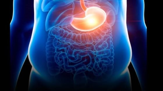 هل ينتهي عصر الرجيم؟.. اكتشاف جديد يساعد الجسم على حرق الدهون تلقائيًا – الخليجي نت