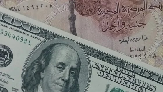 الجنيه المصري يصل 50 مقابل الدولار لأول مرة منذ أشهر – الخليجي نت