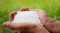 صحيفة: نقص الغاز يوقف عمل مصانع يوريا في الهند ويهدد برفع أسعار الأسمدة – الخليجي نت