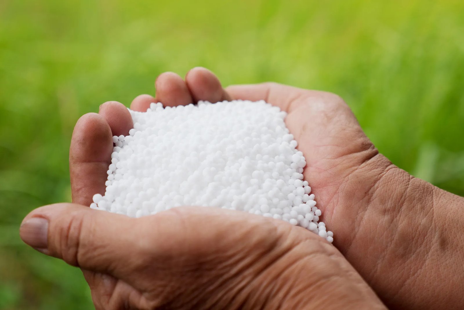 صحيفة: نقص الغاز يوقف عمل مصانع يوريا في الهند ويهدد برفع أسعار الأسمدة		 – الخليجي نت