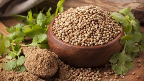 فوائد الكزبرة الناشفة، هل تؤثر على مرضى السكر؟ – الخليجي نت