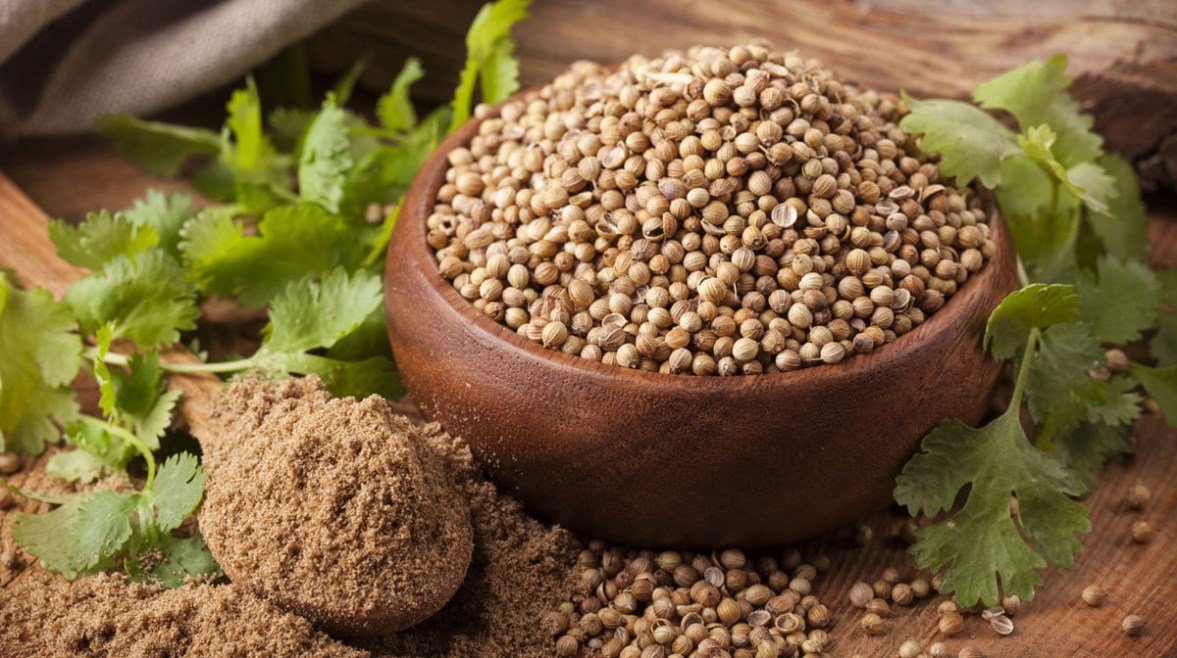 فوائد الكزبرة الناشفة، هل تؤثر على مرضى السكر؟ – الخليجي نت